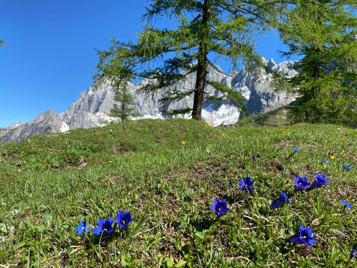 Haus Sonnleitner Apartment Ramsau am Dachstein Ngoại thất bức ảnh