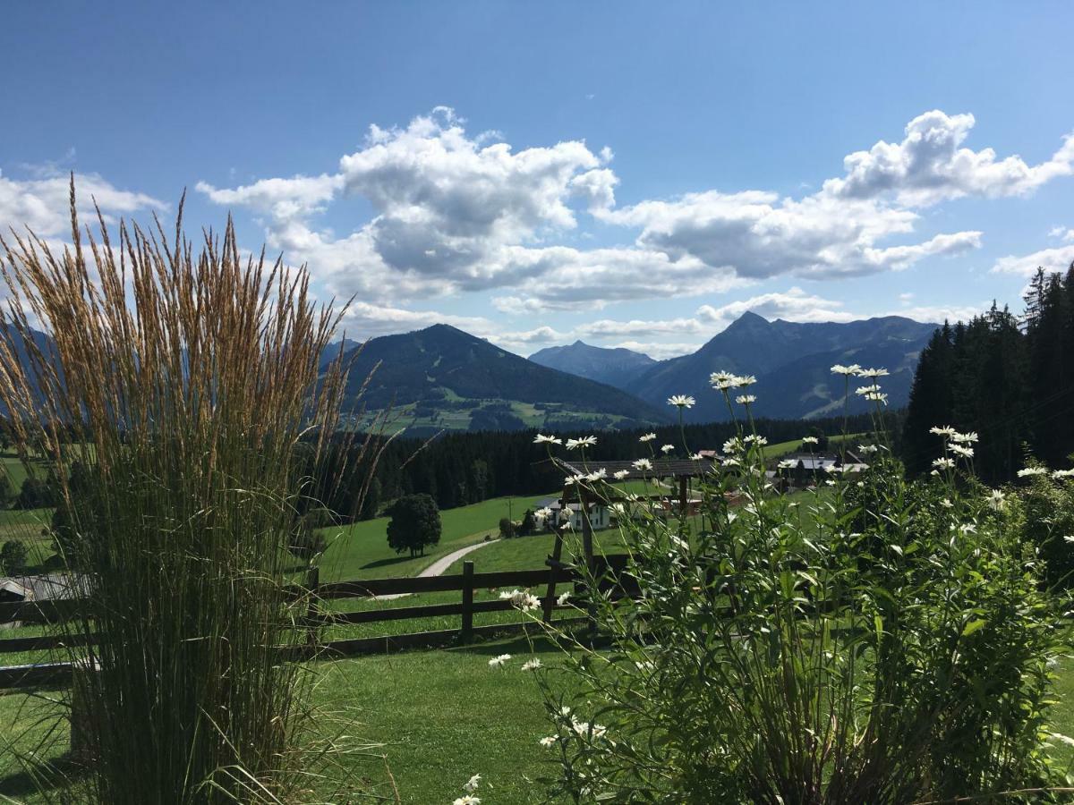 Haus Sonnleitner Apartment Ramsau am Dachstein Ngoại thất bức ảnh